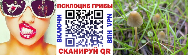 shop клад  Мариинский Посад  Галлюциногенные грибы мухоморы  как найти наркотики 